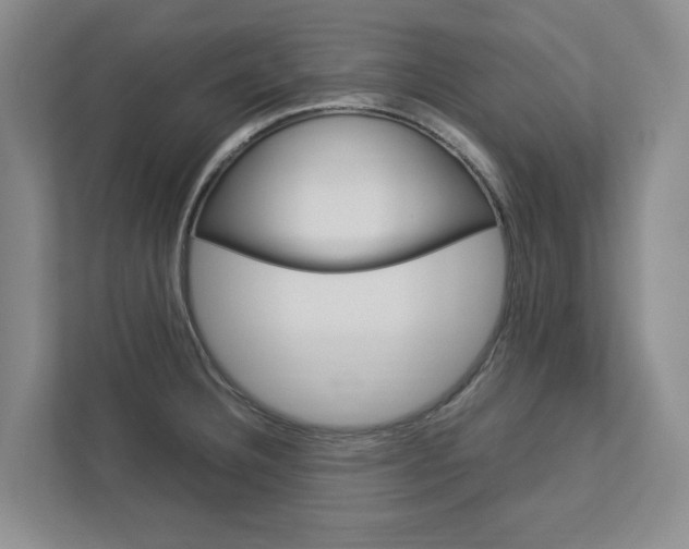 X0000113041332200908271026