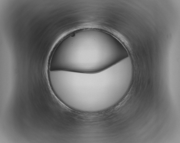 X0000113041334200908271026