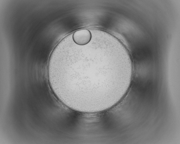 X0000113041338200908271027