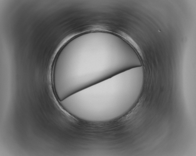 X0000113041339200908271027