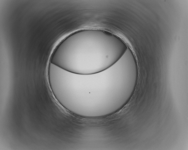 X0000113041344200908271027