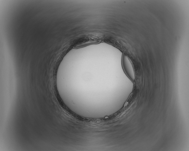 X0000113041345200908271026