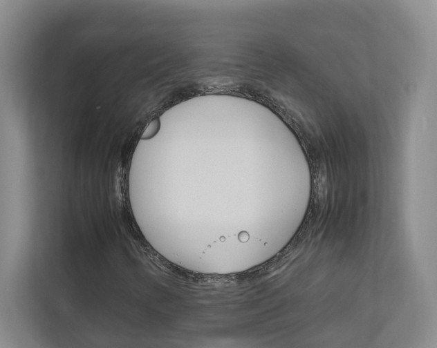 X0000113041346200908271026
