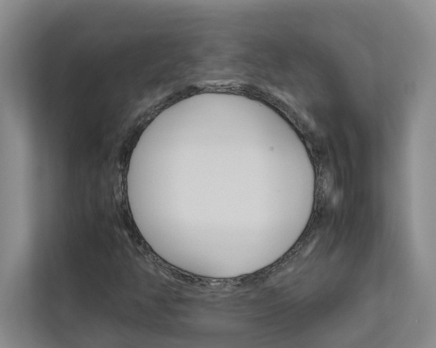 X0000113041350200908271026