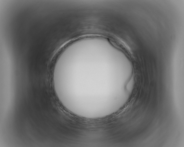 X0000113041352200908271026