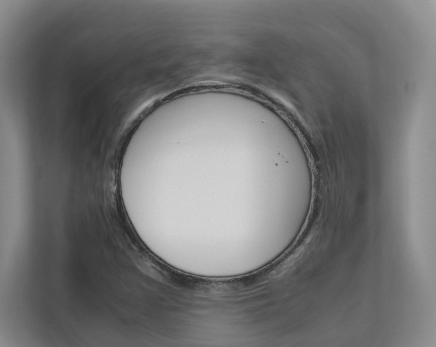 X0000113041355200908271026