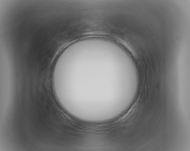 X0000113041357200908271026