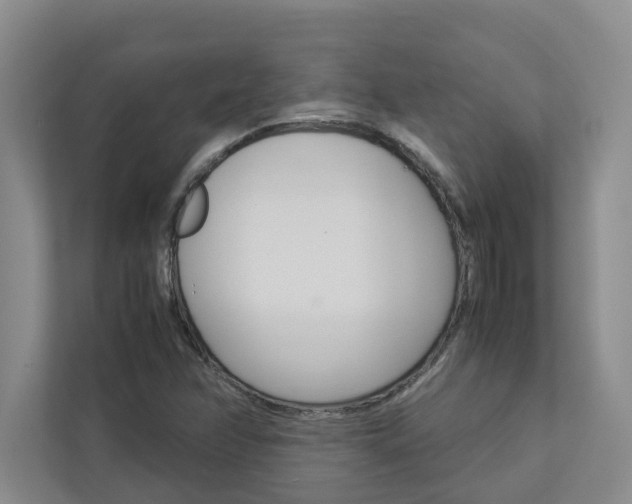 X0000113041358200908271026