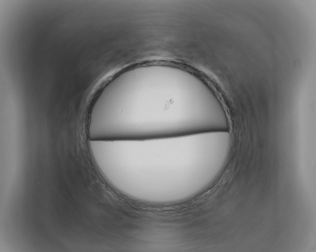 X0000113041359200908271026