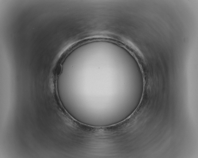 X0000113041360200908271026