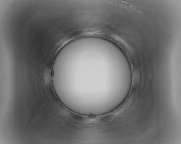 X0000113041361200908271026