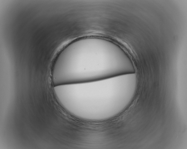 X0000113041363200908271026