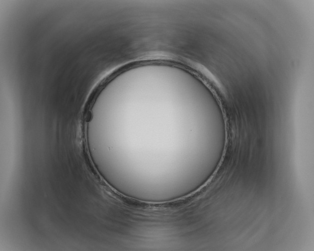 X0000113041364200908271026