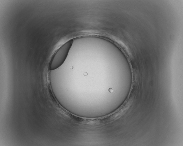 X0000113041365200908271026