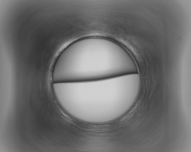 X0000113041367200908271026