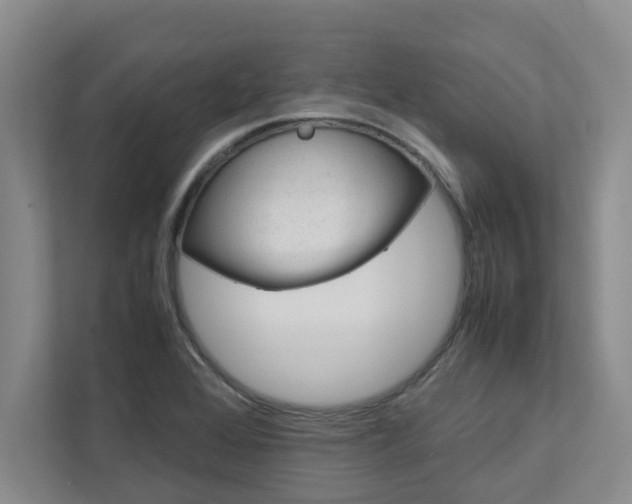 X0000113041368200908271026