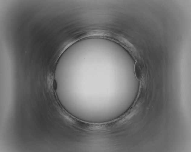 X0000113041369200908271026