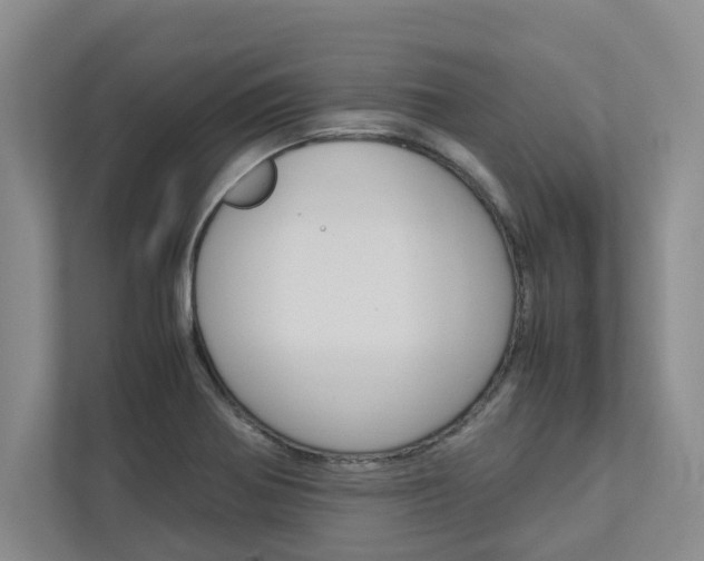 X0000113041370200908271026