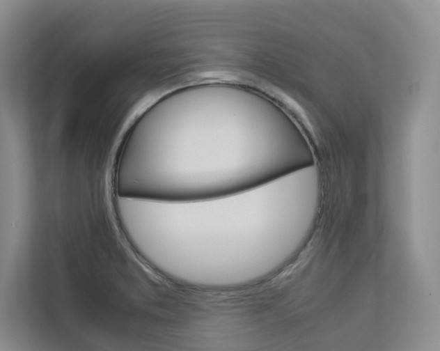 X0000113041373200908271026