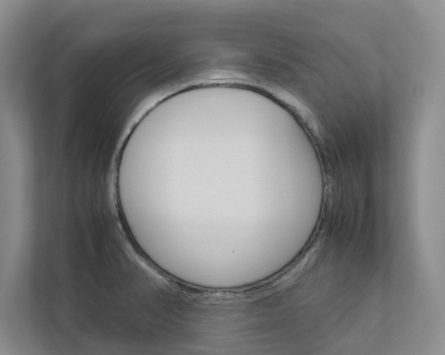 X0000113041374200908271026