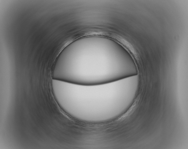X0000113041377200908271026