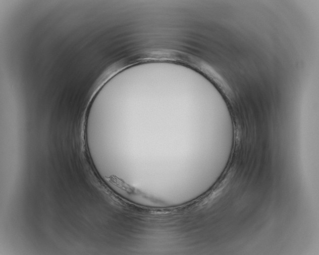 X0000113041378200908271026