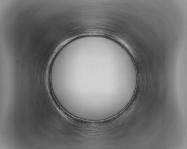 X0000113041379200908271026