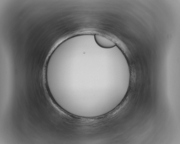 X0000113041382200908271026