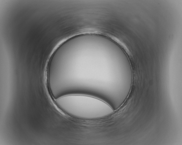 X0000113041383200908271026