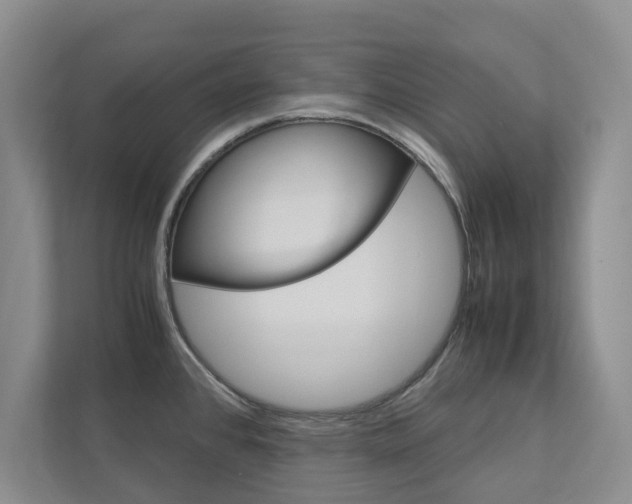 X0000113041384200908271025