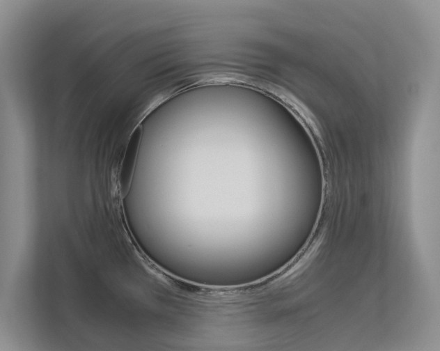 X0000113041385200908271025