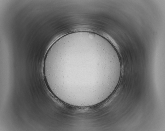 X0000113041386200908271025