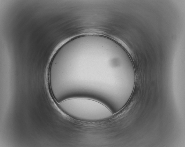 X0000113041387200908271025