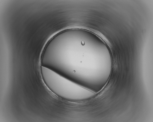 X0000113041388200908271025