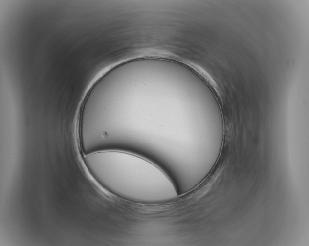 X0000113041391200908271025