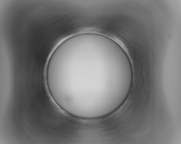 X0000113041392200908271025