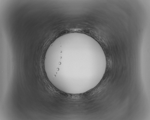 X0000113041393200908271025