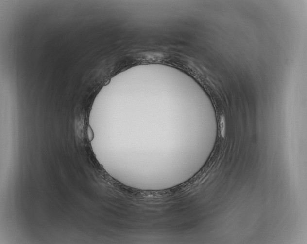 X0000113041395200908271025