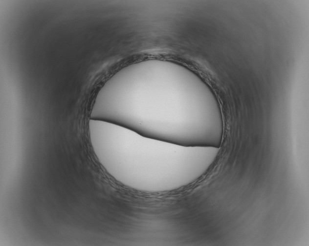 X0000113041398200908271025