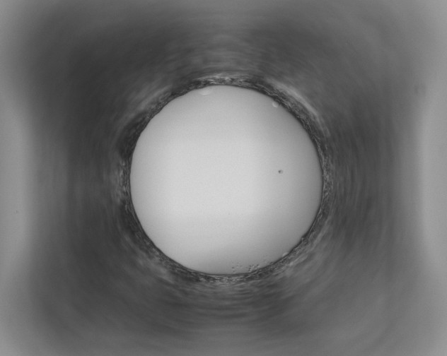X0000113041399200908271025
