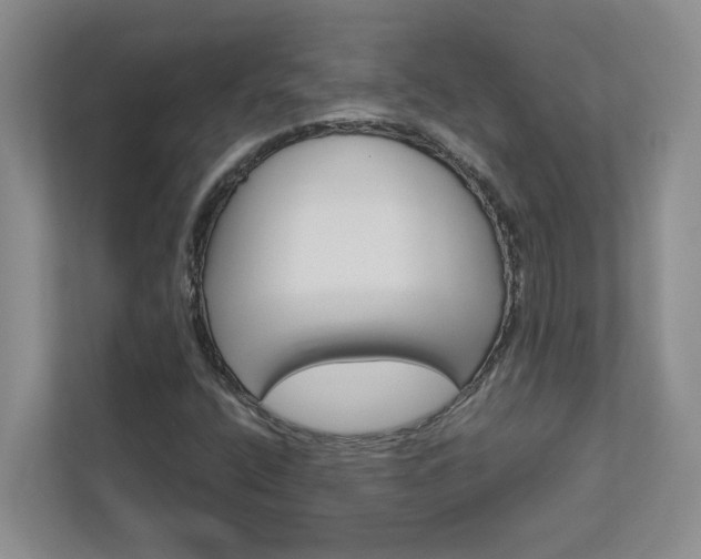 X0000113041400200908271025