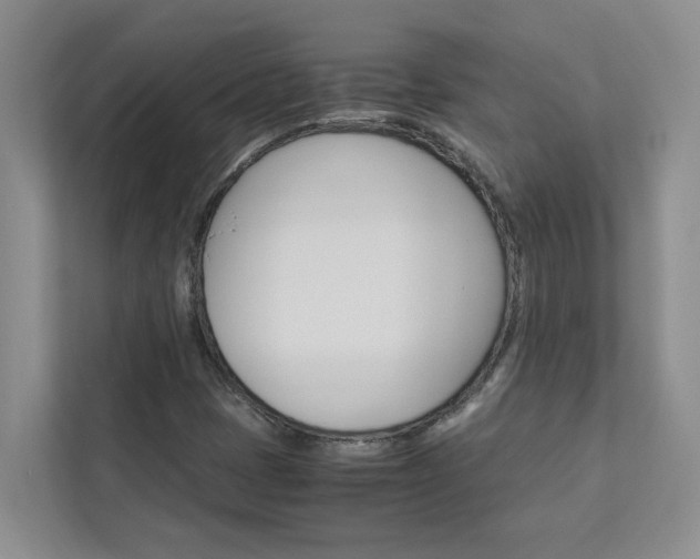 X0000113041401200908271025