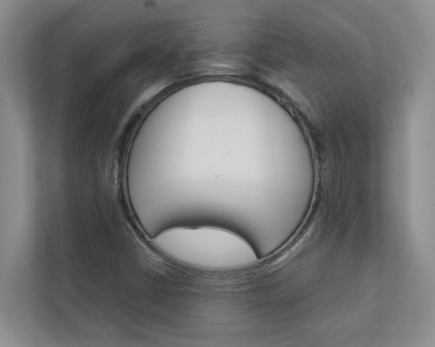 X0000113041402200908271025