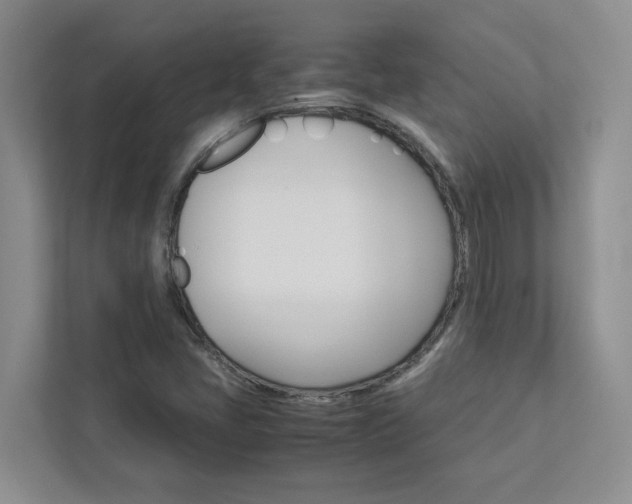 X0000113041405200908271025
