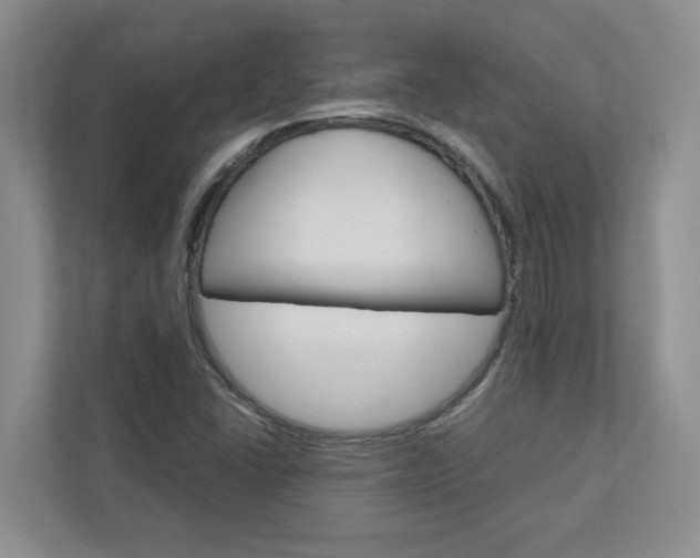 X0000113041406200908271025
