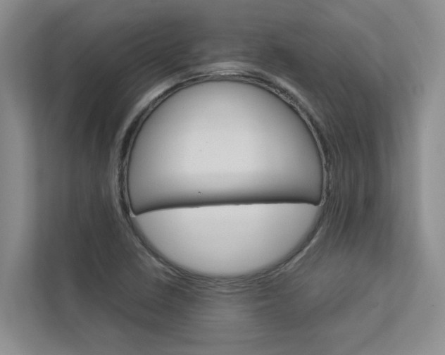 X0000113041410200908271025