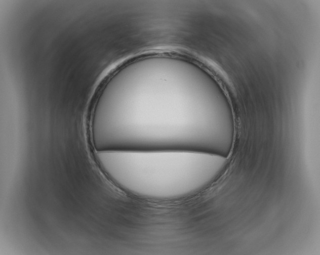 X0000113041412200908271025
