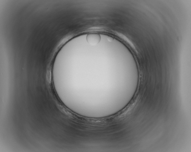 X0000113041413200908271025