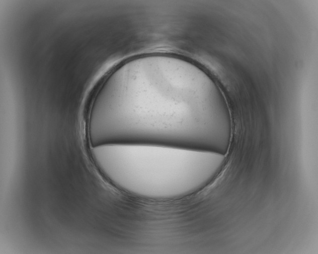 X0000113041414200908271025