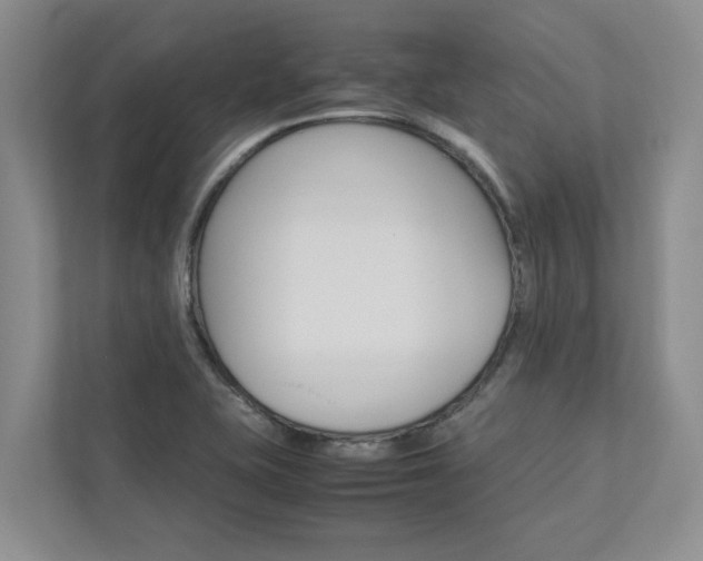 X0000113041415200908271025